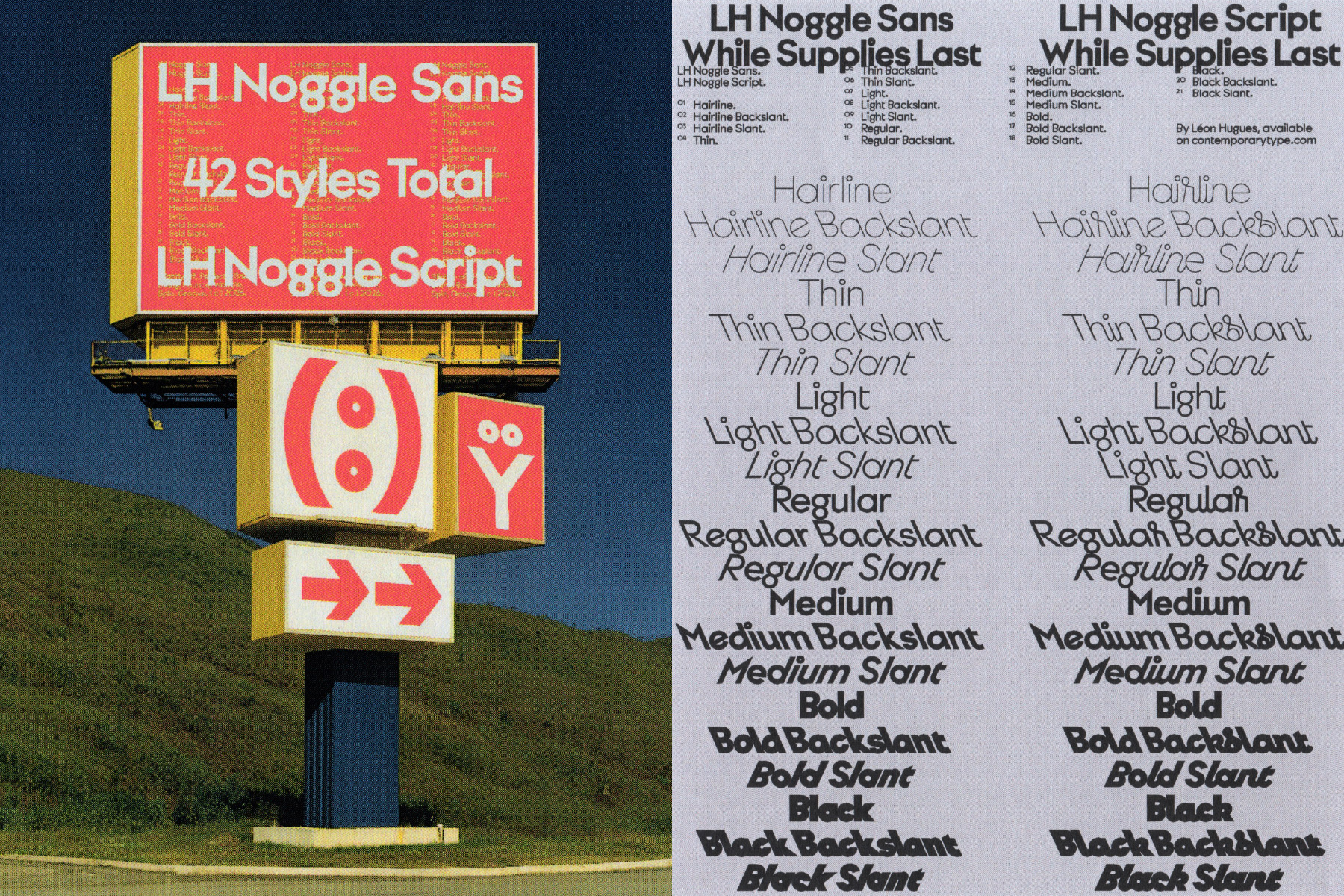 noggle-1