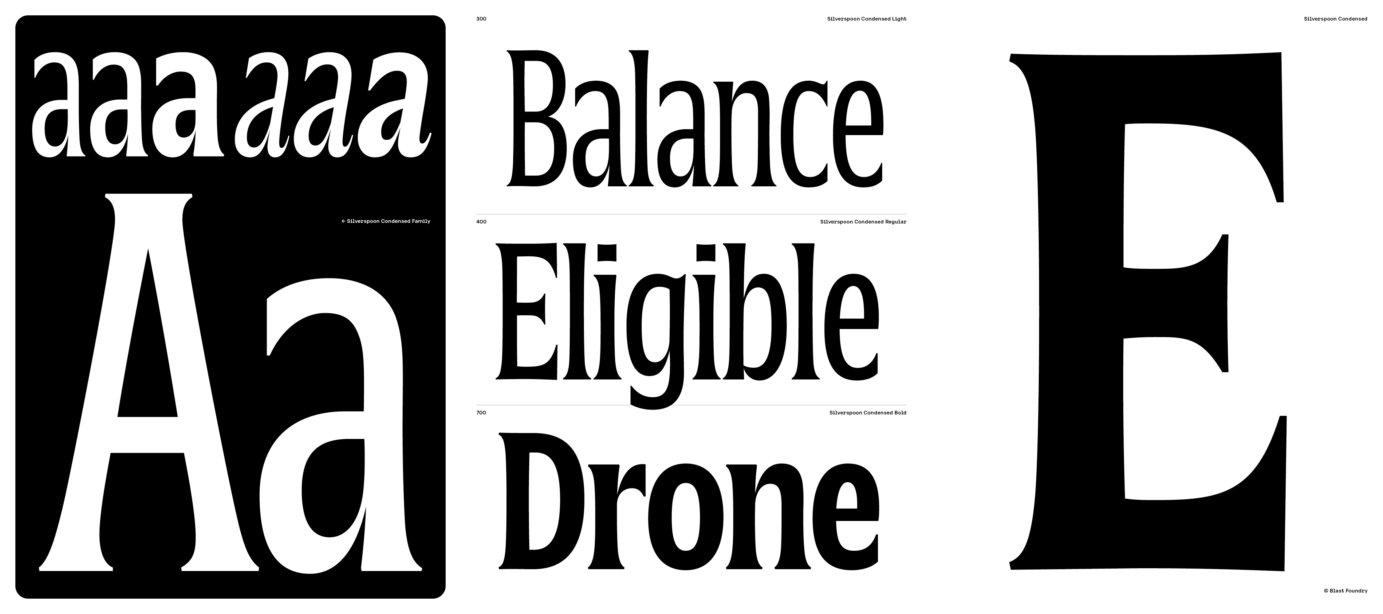 silverspoon-banners-7