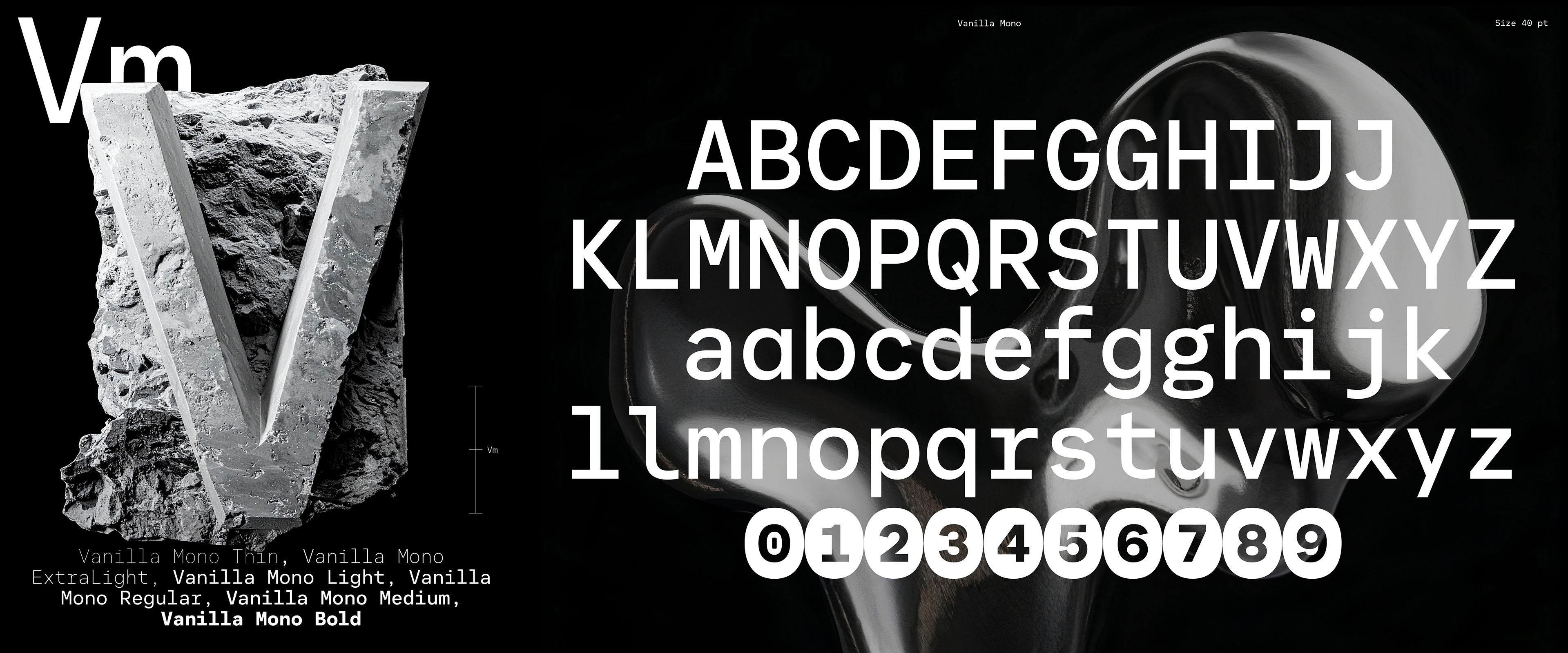 VanillaMono-CT-1